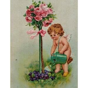Valentine Postcard Cupid Gardening Plants Pink Roses Gabriel Series 408 Germany